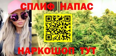 хмурый Краснознаменск