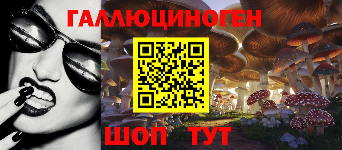 Кизляр  Галлюциногенные грибы Cubensis  Вход с VPN 